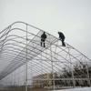 Invernadero Agrícola con Estructura de Tubo de Acero para Cultivo de Frutas y Verduras, Invernadero Sencillo para Siembra de Verduras, Invernadero Cálido de Película Plástica, Invernadero Multicapital