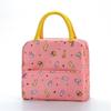 Bolsa térmica pequena com estampa fresca bolsa de gelo bolsa de almoço com estampa grande capacidade bolsa de almoço portátil em estoque