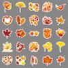 50 hojas amarillas otoñales caricatura caducifolio pequeño fresco creativo impermeable decorativo pegatinas para computadora equipaje al por mayor