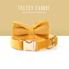 Set de Cuatro Piezas Personalizado de Terciopelo para Gato y Perro, con Correa, Corbata de Moño y Bolsas para Excrementos, Superventas Transfronterizo