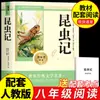 Ensayos Clásicos y Notas sobre Insectos Editorial Educación Popular Nueva Edición 2026 Octavo Grado Segundo Semestre Lectura de Clásicos Zhu Ziqing