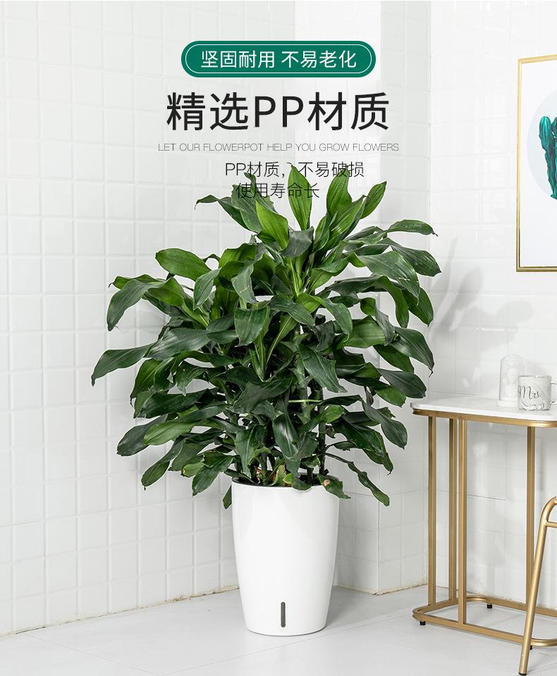 O1CN01LTZbl41Yo8L9Ajx6h_!!2206