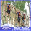 Tobogán al aire libre para niños con expansión de jungla, cruce de jungla, red mágica, entrenamiento físico, aventura forestal, construcción de grupos, equipo de entretenimiento