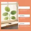 Solução Moonspry para Cuidado de Raízes de Plantas Verdes Solução Conveniente de Cuidado Suplementar para Plantas Verdes de Interior e Exterior Cuidado e Manutenção de Raízes