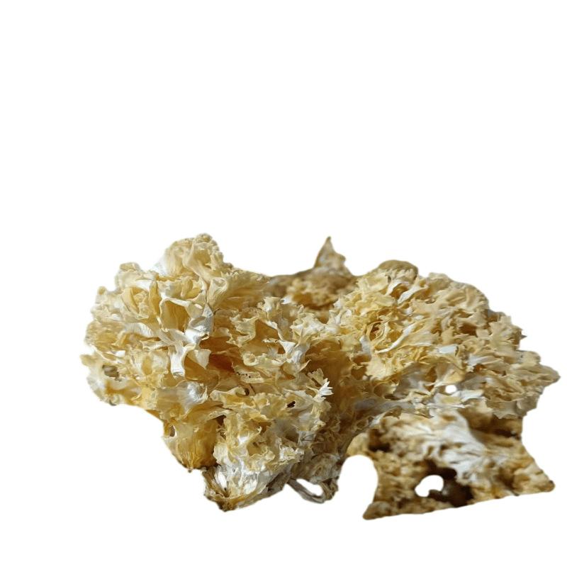 微信图片_20230529151030