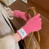 Guantes de Punto de Color Sólido Estilo Coreano Compatibles con Pantalla Táctil para Mujer, Ambiente Invernal, Engrosados, Cálidos, para Ciclismo, a Prueba de Frío, Dedos Separados, Moda Estudiantil