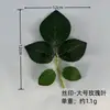Hojas Simuladas de Rosa, Hojas de Peonía, Hojas de Loto, Hojas de Bola de Exhibición, Hojas de Crisantemo de Navidad, Hojas de Girasol, Hojas de Phalaenopsis