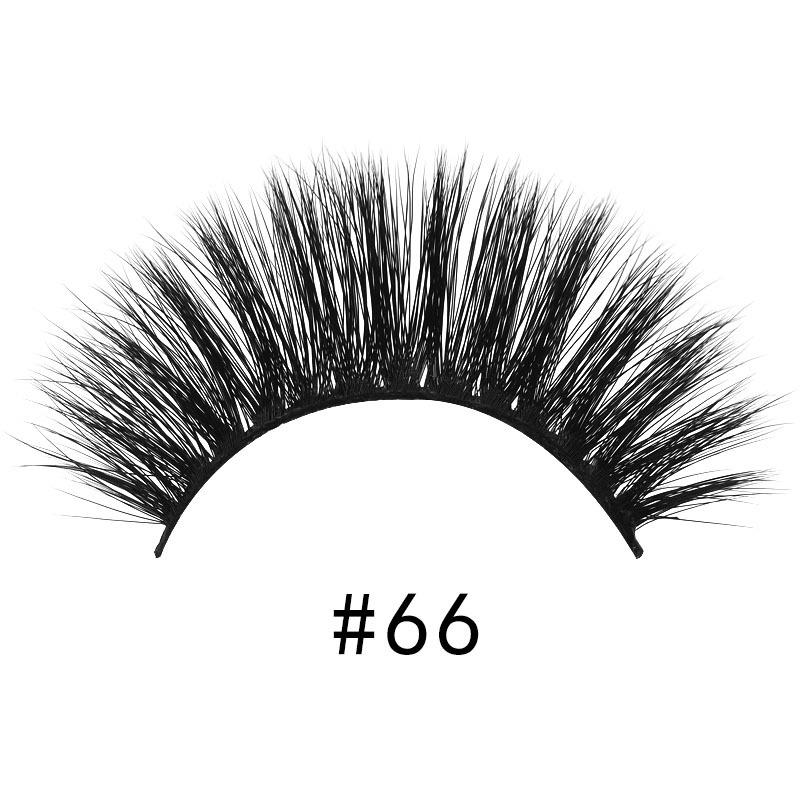 #66.jpg