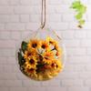 Jarrón de vidrio colgante rosa verde planta hidropónica botella de vidrio botella colgante decoraciones de vidrio hechas a mano creativas colgante de pared pecera