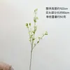 Flor de simulação contendo Yang, quatro pétalas, salgueiro da neve, pequena floral, decoração de casa, flor de casamento, decoração de casa, salgueiro da neve de simulação