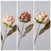 Brisa Vespertina de Cero Grados Artesanías Pequeño Emperador Flores Artificiales y Plantas Verdes Venta al por Mayor Decoración de Bodas Ins Fabricante Transfronterizo Flores Artificiales