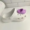 Accesorios para zapatos con agujeros, mini zapatos con agujeros de colores bonitos, hebilla de flor, bricolaje, hebilla de zapato desmontable, accesorios para zapatos de jardín, nuevo