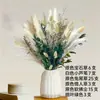 Pequeña Cola de Conejo de Caña Hierba Flor Inmortal Ramo DIY Producto Terminado Decoración Flor Real Adornos de Instagram Hierba de la Pampa Flores Secas Transfronterizo