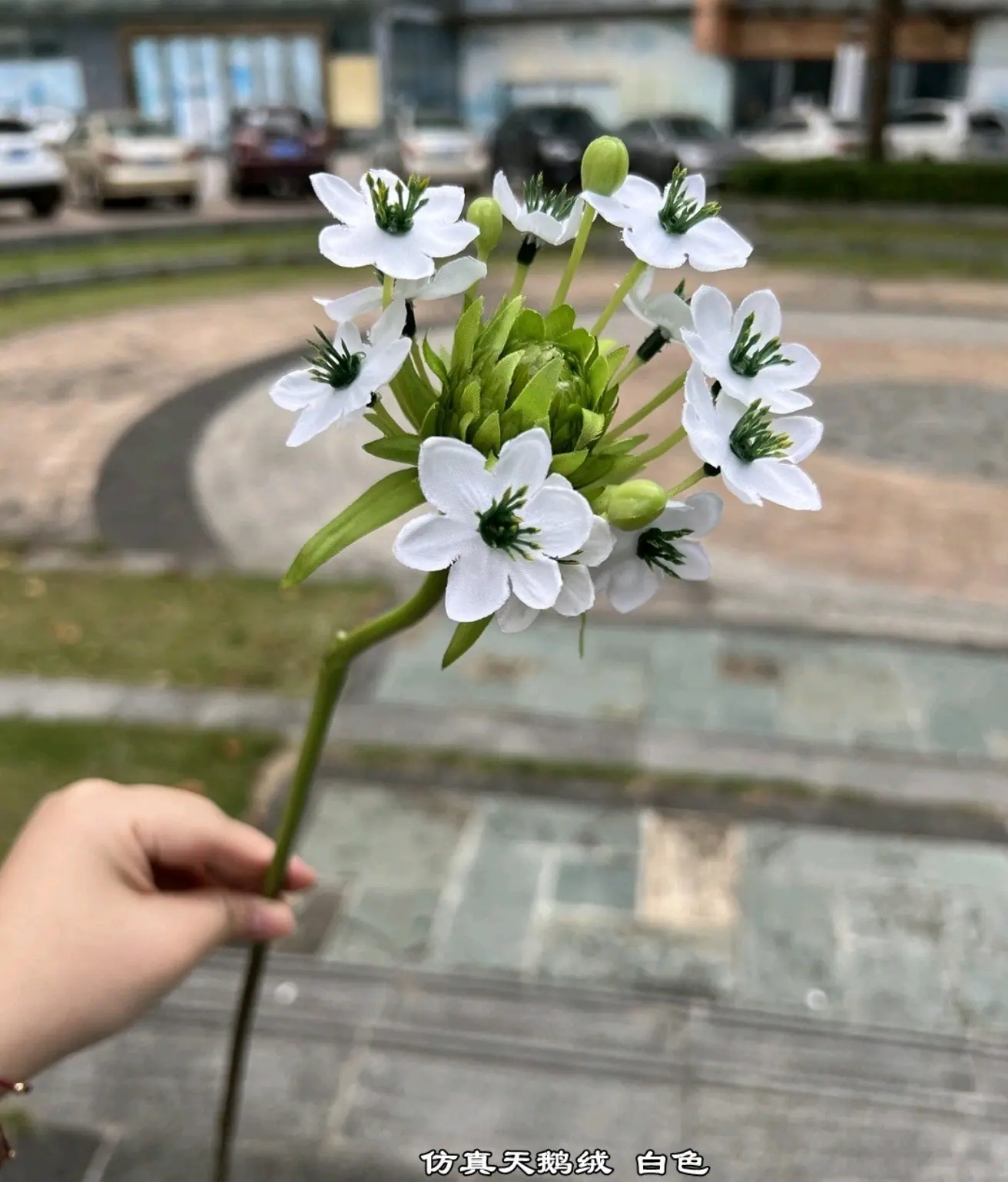 微信图片_20250404142912