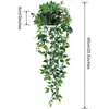 Itens Populares Transfronteiriços: Mandala Folhas de Eucalipto, Plantas Verdes Artificiais, Trepadeiras em Vasos, Decorações para Pendurar na Parede, Atacado