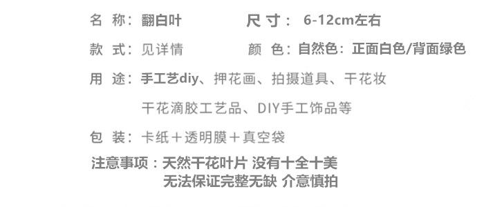 翻白叶.png
