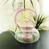 Tetera mariposa de vidrio de borosilicato seleccionada creativa estilo chica fresca resistente a altas temperaturas tetera flor de rayo venta al por mayor