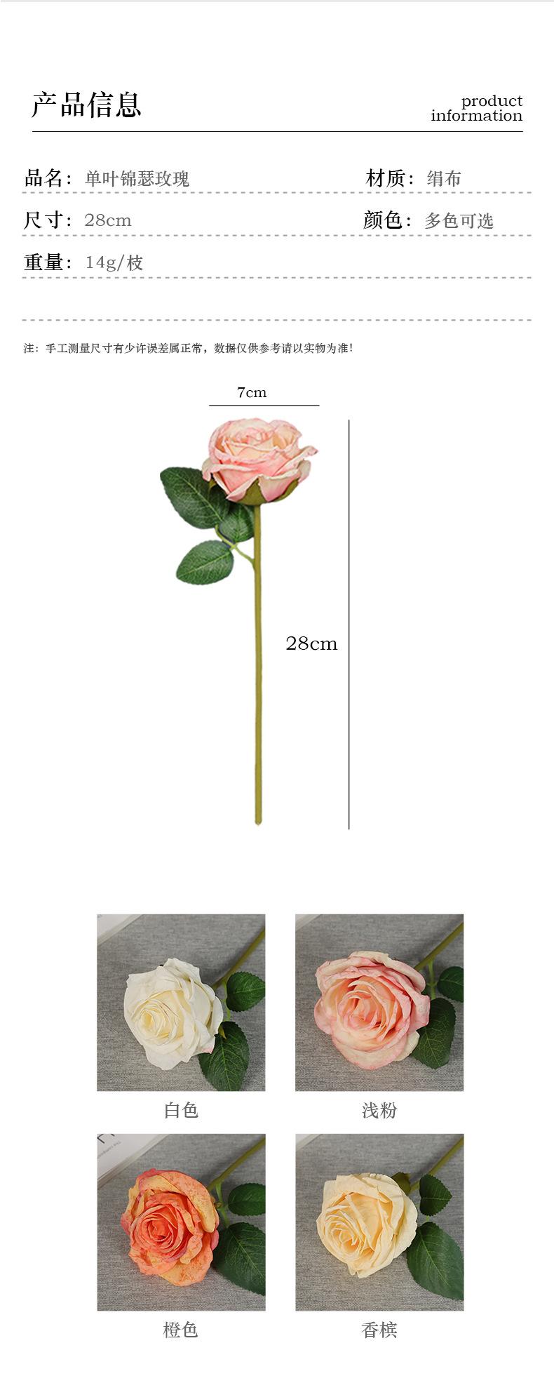 单叶锦瑟玫瑰_03.jpg
