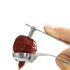 Nuevo Descorazonador Engrosado de Acero Inoxidable para Dátiles Rojos, Cerezas, Espino Blanco y Dátiles Rojos Dispositivo Descorazonador Automático para Uso Doméstico
