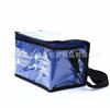 Novo saco de isolamento de pvc de pano oxford, bolsa de isolamento quente e frio, bolsa de piquenique de camada dupla, bolsa de gelo com isolamento frio, atacado