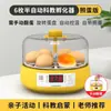 Incubadora Automática Pequeña para el Hogar para Pollitos Pollitos de Codorniz Criadero para Niños Pequeños Educación Científica Iluminación de la Vida Otro