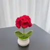 Ramo de claveles de lana tejida a ganchillo transfronterizo, simulación, en maceta, regalo para el día de la madre, día del maestro, pequeños adornos para el hogar