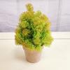 Mini planta de cactus en maceta de estilo nórdico, carnosa, pequeña, de simulación, verde, decorativa, de escritorio