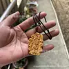 Talla en Madera de Tuya, Todo va Fluido, Colgante de Madera Maciza Trenzado a Mano, Adorno de Mano, Nuevo Estilo Lindo de Mascota de Moda, Regalo del Año del Caballo