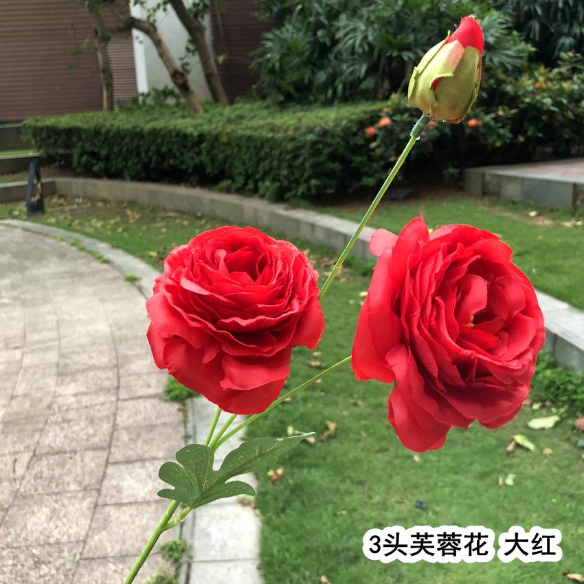 4_副本.jpg
