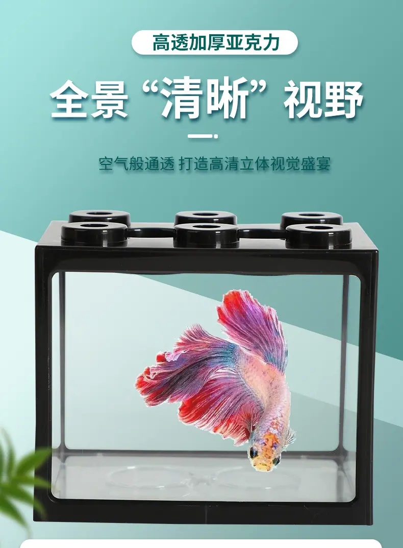 积木鱼盒_05.jpg