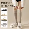 Calcetines de lana para pantorrilla de mujer, otoño e invierno, engrosados con forro polar, resistentes al frío, cálidos, adelgazantes, estilo Lolita, calcetines largos de cachemira