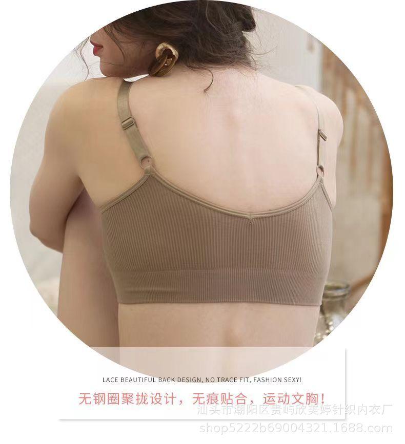 微信图片_20230329203540.jpg?x-oss-process=image/format,png