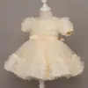 Vestido de Princesa para Niña, Vestido de Cumpleaños para Niña, Vestido Tutú de Flor de Rosa, Vestido de Presentación para el Primer Cumpleaños de Bebé, Venta al por Mayor