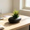 Mini vaso plano transfronteiriço planta artificial de aloe vera em vaso decoração para interior casa e escritório mesa de trabalho planta suculenta bonsai