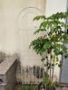 Estante de hierro forjado para flores, soporte de ratán trepador para rosas de jardín, clemátide, rosa verde, rejilla para plantas trepadoras, patio exterior
