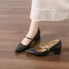 Sapatos Mary Jane de Bico Fino com Salto Bloco para Mulheres 2026 Primavera e Outono Novos Versáteis Emagrecedores Elegantes Salto Alto Tira Rasteira Sapatos Únicos
