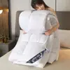 Colcha de algodón plumón otoño e invierno engrosada cálida núcleo de colcha doble de hotel ventas directas de fábrica colcha de regalo colcha de algodón para estudiantes dropshipping