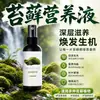 Solución Nutritiva Especial para Musgo Plantas de Interior en Maceta Floración Siembra de Flores Semillas de Flores Plantas Verdes Cultivo en Tierra Hidropónica Fertilizante Universal