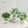 Plantas Verdes, Vasos Pequenos, Árvore da Fortuna Semelhante para Mesas de Escritório Internas, Mesas de Centro de Sala de Estar, Flores Artificiais e Arranjos Florais