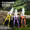 Tijeras de podar para jardín, Cortadores de ramas para árboles frutales, Set de corte de ramas, Set de herramientas de ferretería de tres piezas, Exclusivamente para venta al por mayor transfronteriza