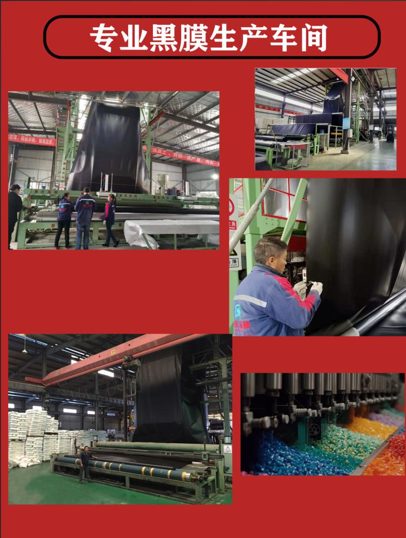 abaf5015d1924b4926019b27535567