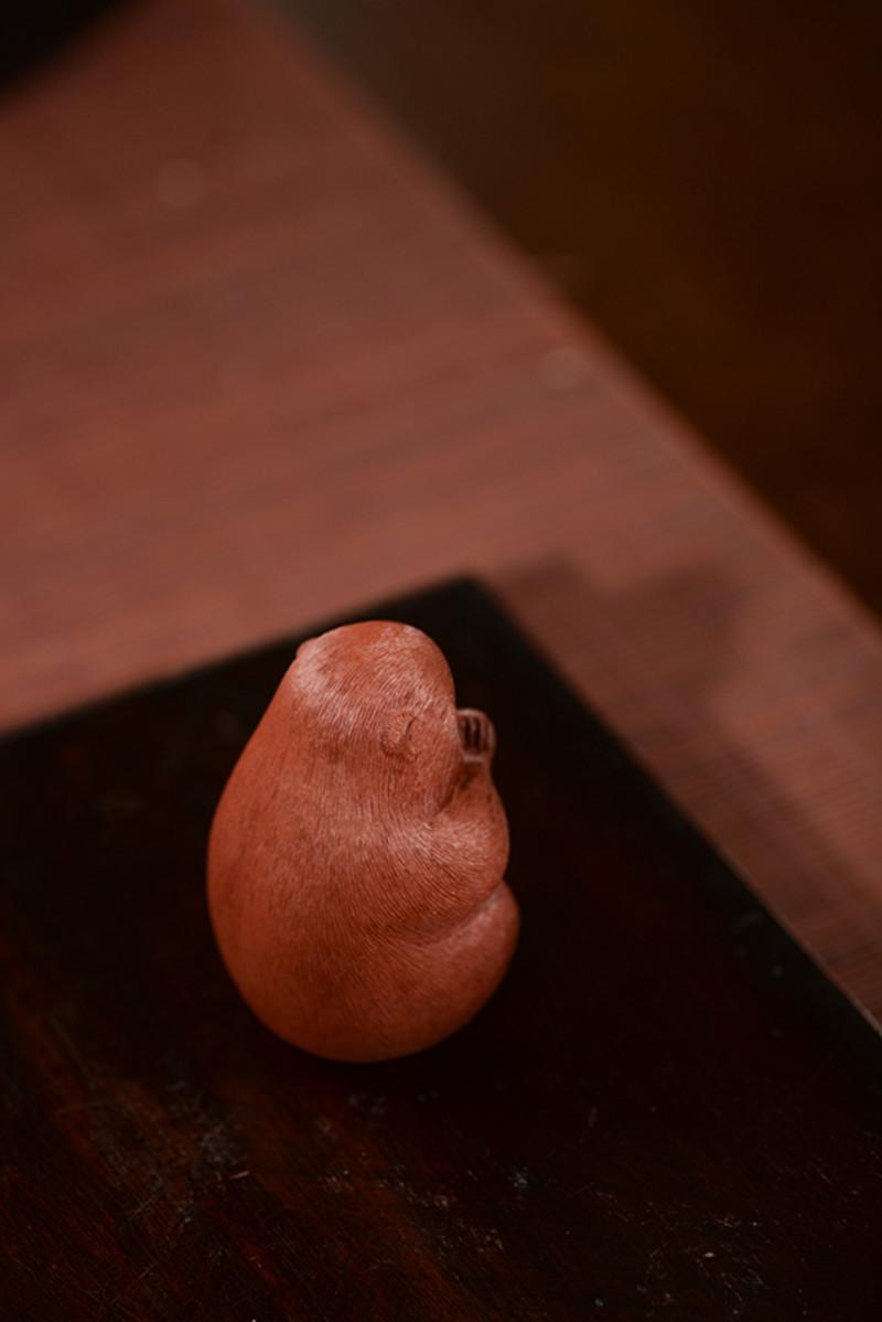 猴子拉毛大红袍猴子1120