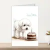 Paquete Combinado de Tarjeta de Felicitación con Sobre Nuevo Feliz Cumpleaños Transfronterizo Cachorro Lindo Tamaño Grande Tarjeta de Felicitación de Bendición 10 Juegos por Lote