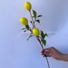 Simulação Fruta Vermelha Fortuna Fruta de Azevinho 3 Garfos Flor de Ano Novo Fruta de Natal Simulação Decoração de Casa Ornamentos Balde Flor
