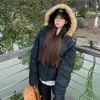 Jaqueta Acolchoada com Capuz e Gola de Pelo para Mulheres, Design de Marca Tendência, Outono e Inverno Quente Solta Casual Cor Sólida Básica de Algodão