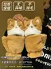 Novas Luvas de Pelúcia Fofas de Gato-Guaxinim com Tampa Flip-Top e Meio Dedo para Mulheres no Inverno, Forradas com Lã e Espessadas para Manter o Calor Durante o Ciclismo e Prevenir Ondas de Frio