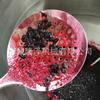 Olla de Azúcar al Vacío de Morera Equipo de Procesamiento de Impregnación de Azúcar Equipo de Impregnación de Frutas Confitadas Olla al Vacío de Baja Temperatura Control de Temperatura