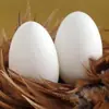 Ovos de ganso frescos de Heze, Shandong, 6 unidades por caixa, 100-120g, ovos de ganso crus, caixa inteira de ingredientes frescos, ovos de aves frescas