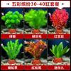 Flor Piedra Volcánica con Forma de Montaña Bainian Planta Acuática Pagoda Agua Ficus para Gente Perezosa Plantas Acuáticas Paisaje para Acuario Paquete Hierba Real Negativa
