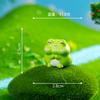 Bonito redondo gordo pequeno sapo micro paisagem desenhos animados ornamentos acessórios bonsai diy jardinagem decorações